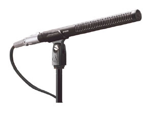 Audio Technica BP4029 + Rycote Windshield Kit