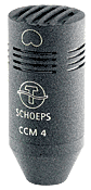 CCM4 Lg
